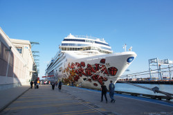 Bow of Norwegian Gem docked at Black Hawk Terminal Boston.jpg