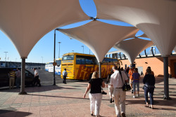 Cruise Excursion Buses at Port of Malaga Parking Lot.jpg