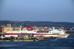 Tirrenia Amsicora Ferry Cruise Ship in Civitavecchia Port.jpg