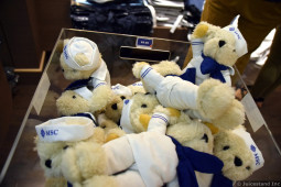 MSC Cruise Teddy Bears for Sale